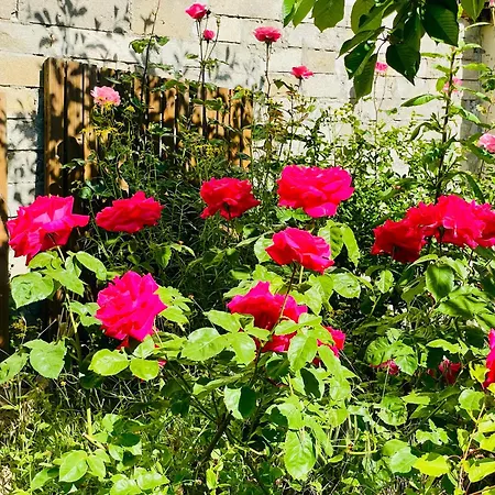 Villa Z&l Jardin - 2 3 Lits - Maison Familiale *